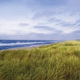 Küchenrückwand-Sylt am Strand_1187x437